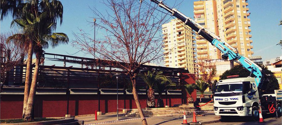 Mersin Vinç Kiralama | Toroslar Vinç Kiralama